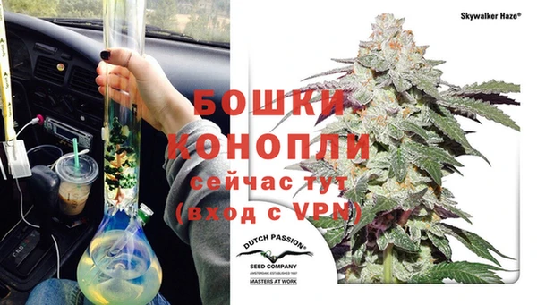 spice Арсеньев