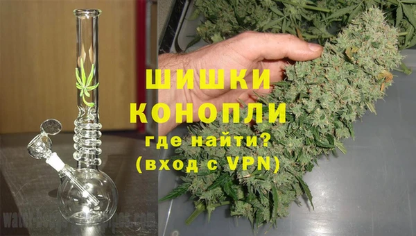 spice Арсеньев