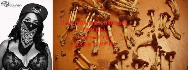 гашик Алзамай