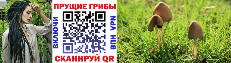 Псилоцибиновые грибы мухоморы  Усолье-Сибирское 